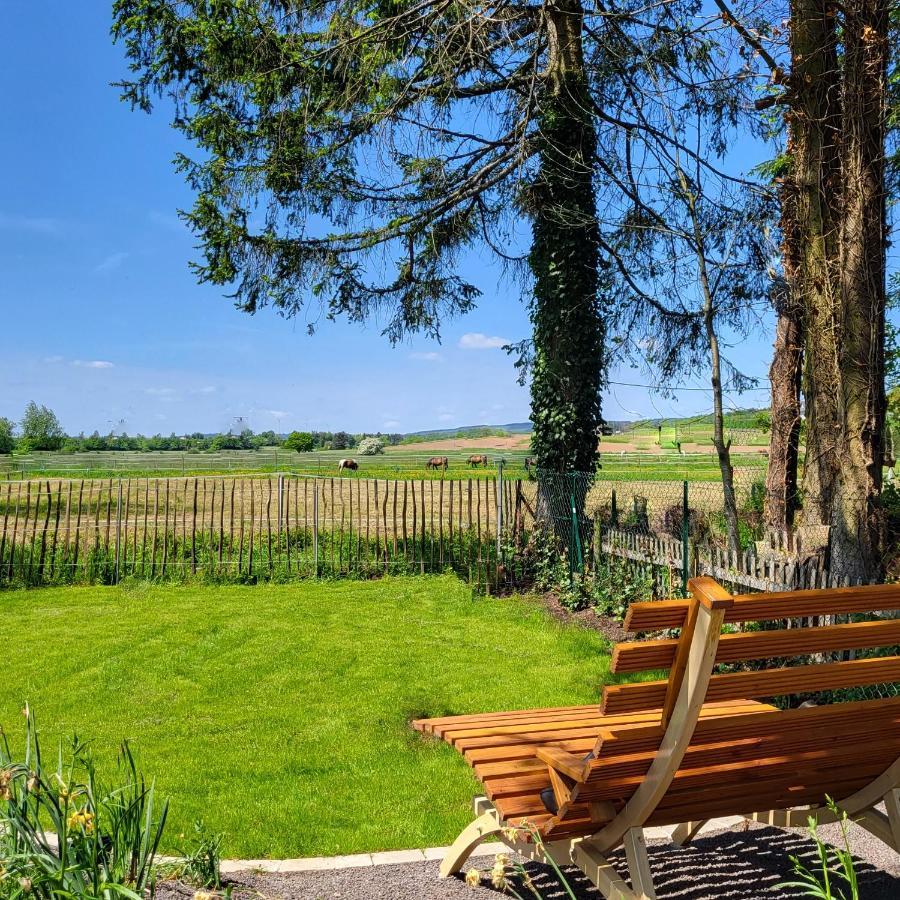 Komfort Ferienwohnungen Mit Wellness-Garten - Gaestehaus Am Bachlauf - Losheim Am See ภายนอก รูปภาพ