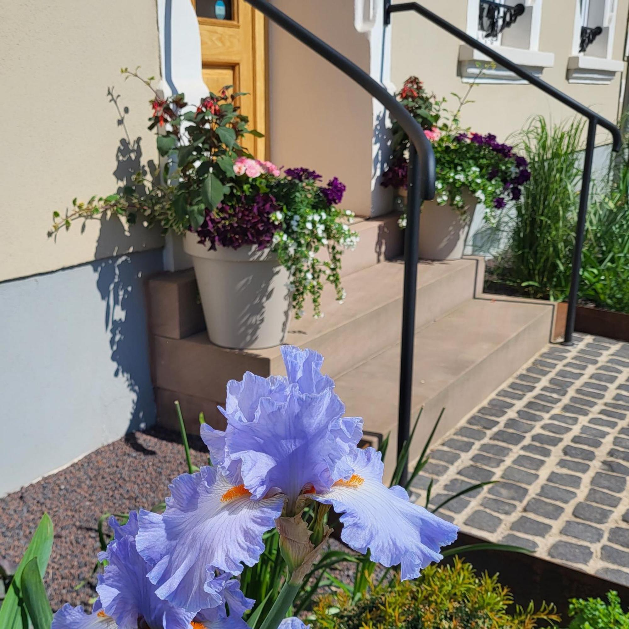 Komfort Ferienwohnungen Mit Wellness-Garten - Gaestehaus Am Bachlauf - Losheim Am See ห้อง รูปภาพ