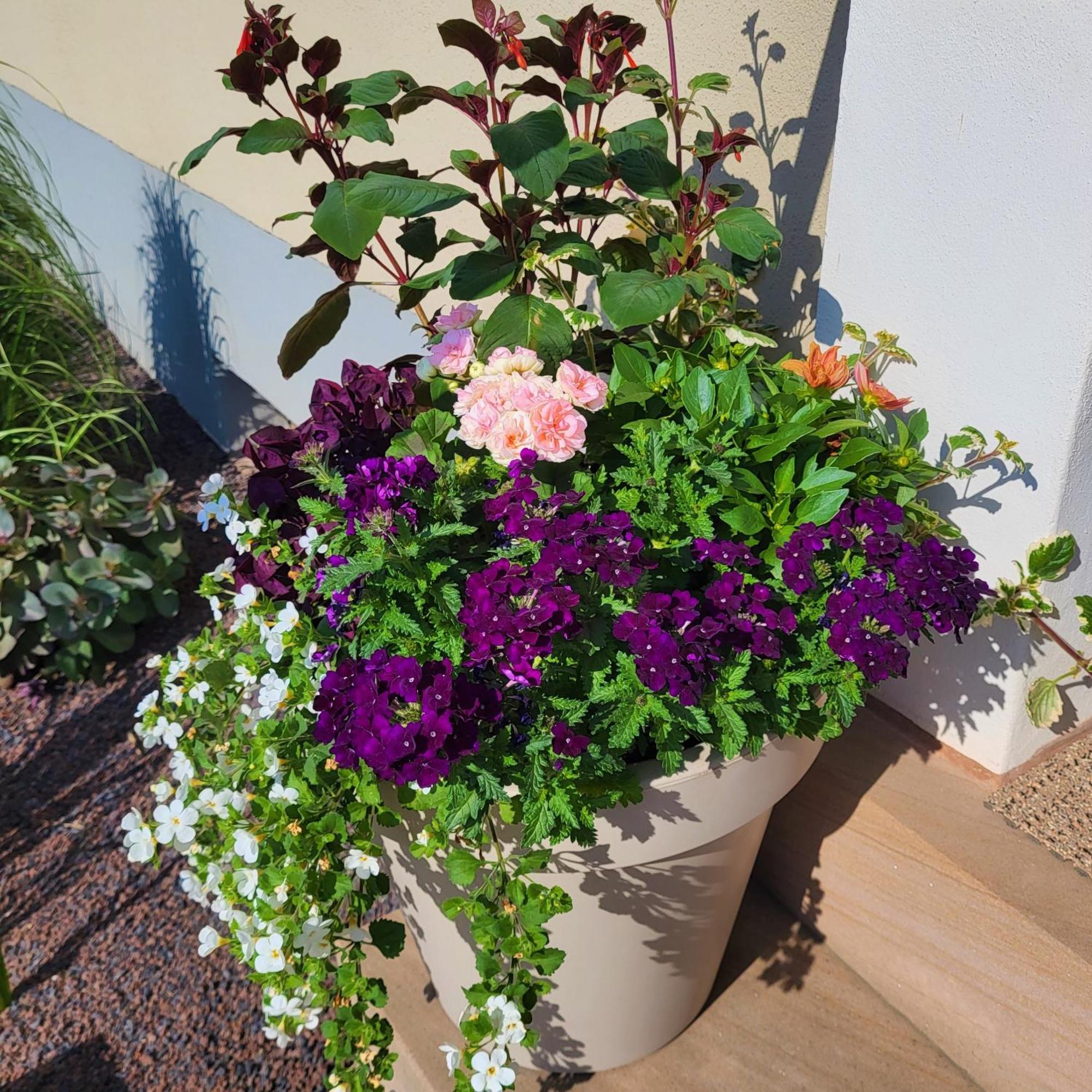 Komfort Ferienwohnungen Mit Wellness-Garten - Gaestehaus Am Bachlauf - Losheim Am See ห้อง รูปภาพ