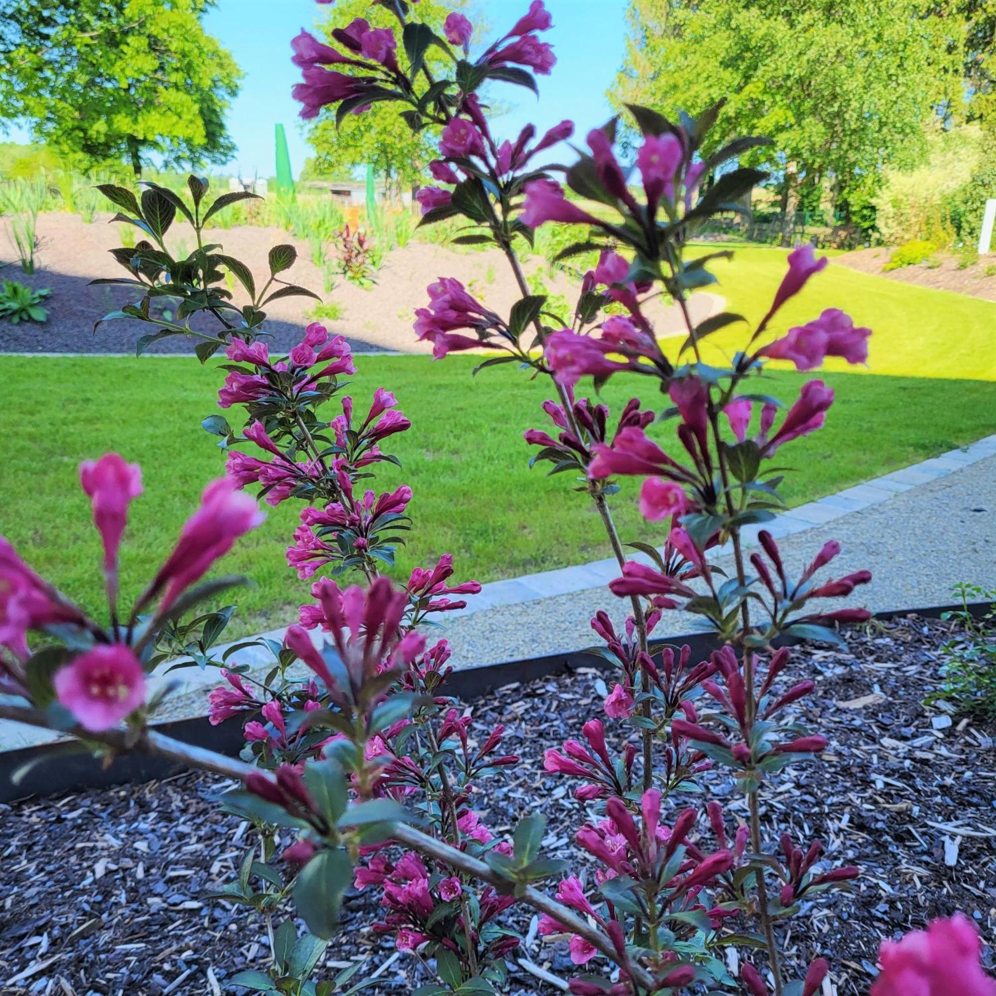 Komfort Ferienwohnungen Mit Wellness-Garten - Gaestehaus Am Bachlauf - Losheim Am See ห้อง รูปภาพ